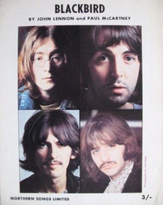 Blackbird