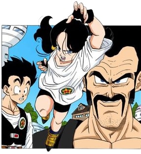 Videl