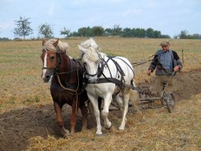 The Plow