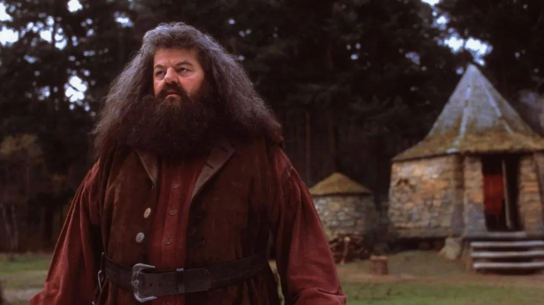 Rubeus Hagrid
