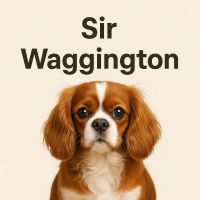 Sir Waggington