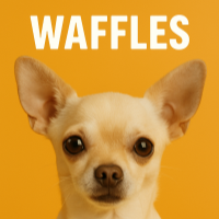 Waffles