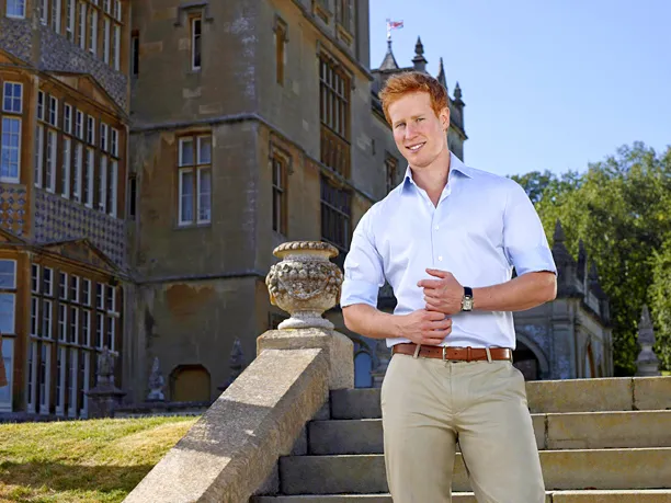 I Wanna Marry "Harry"