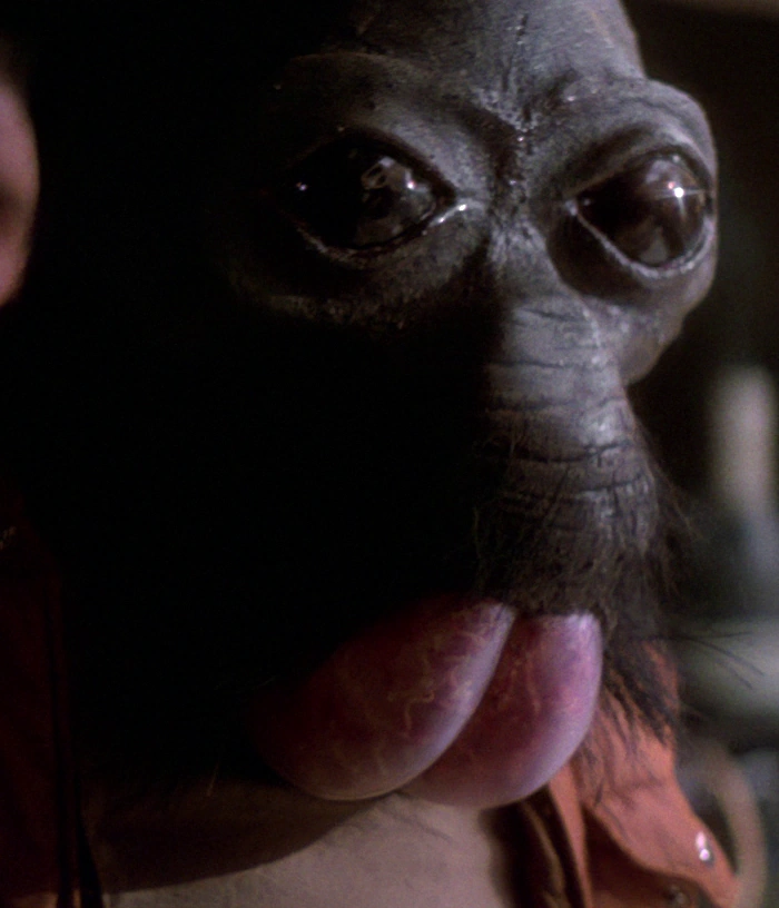 Ponda Baba