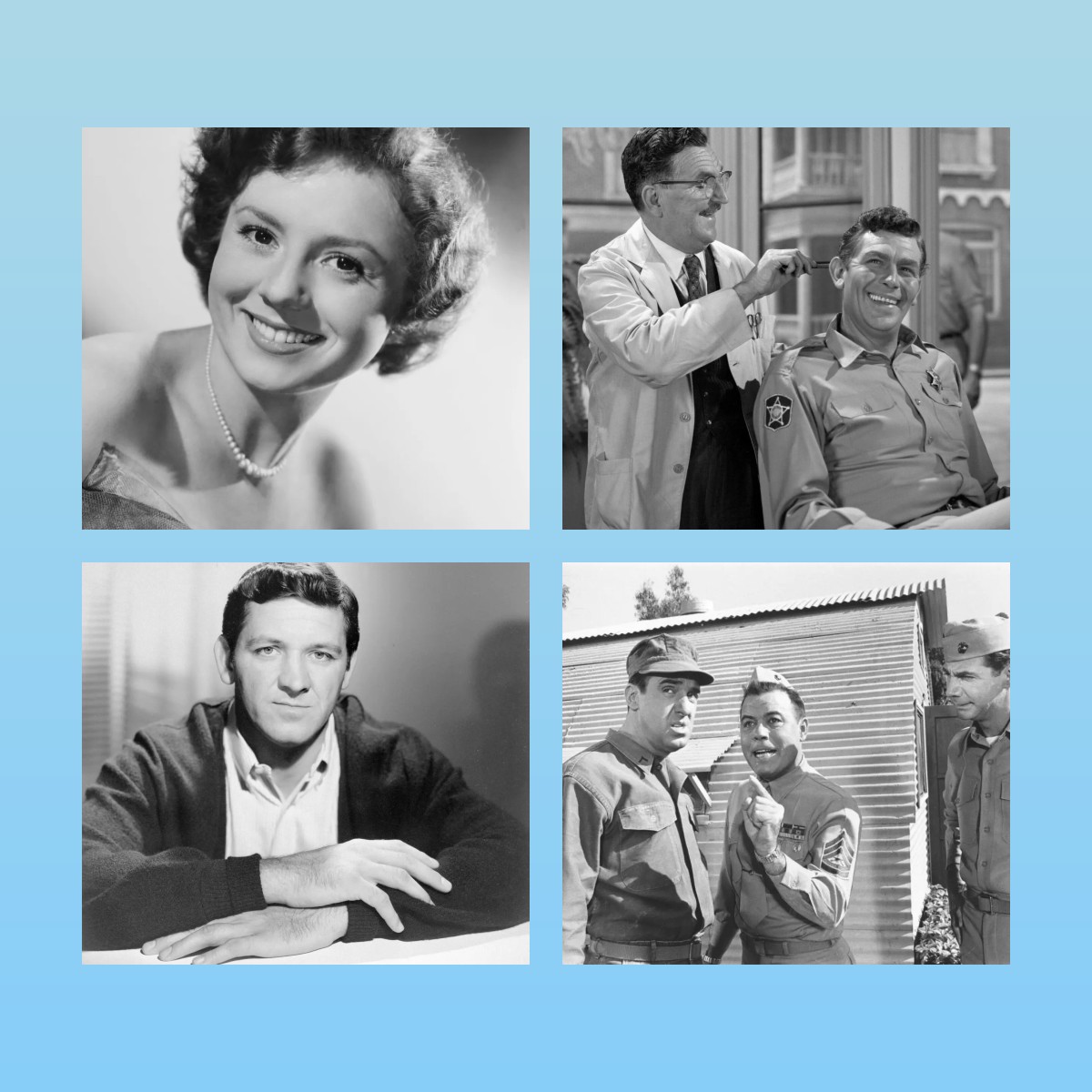 Top 10 The Andy Griffith Show