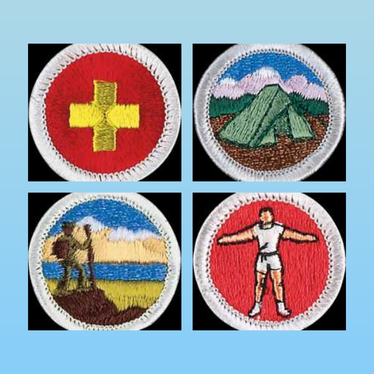 Top 10 My Boy Scout Badges