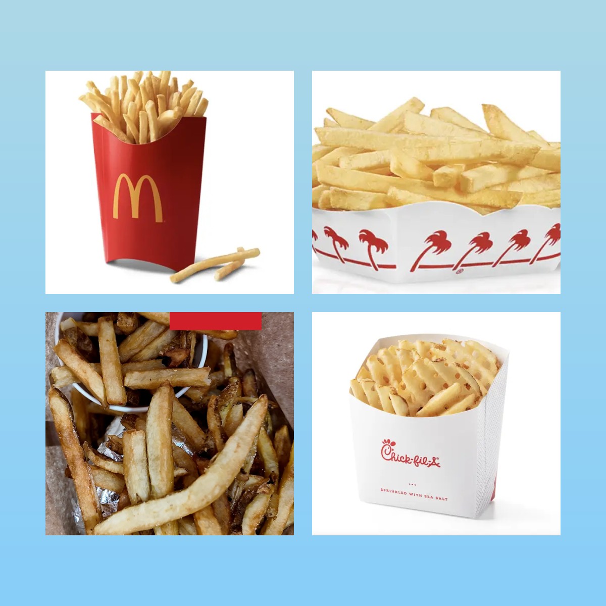 Top 10 FastFood Fries List