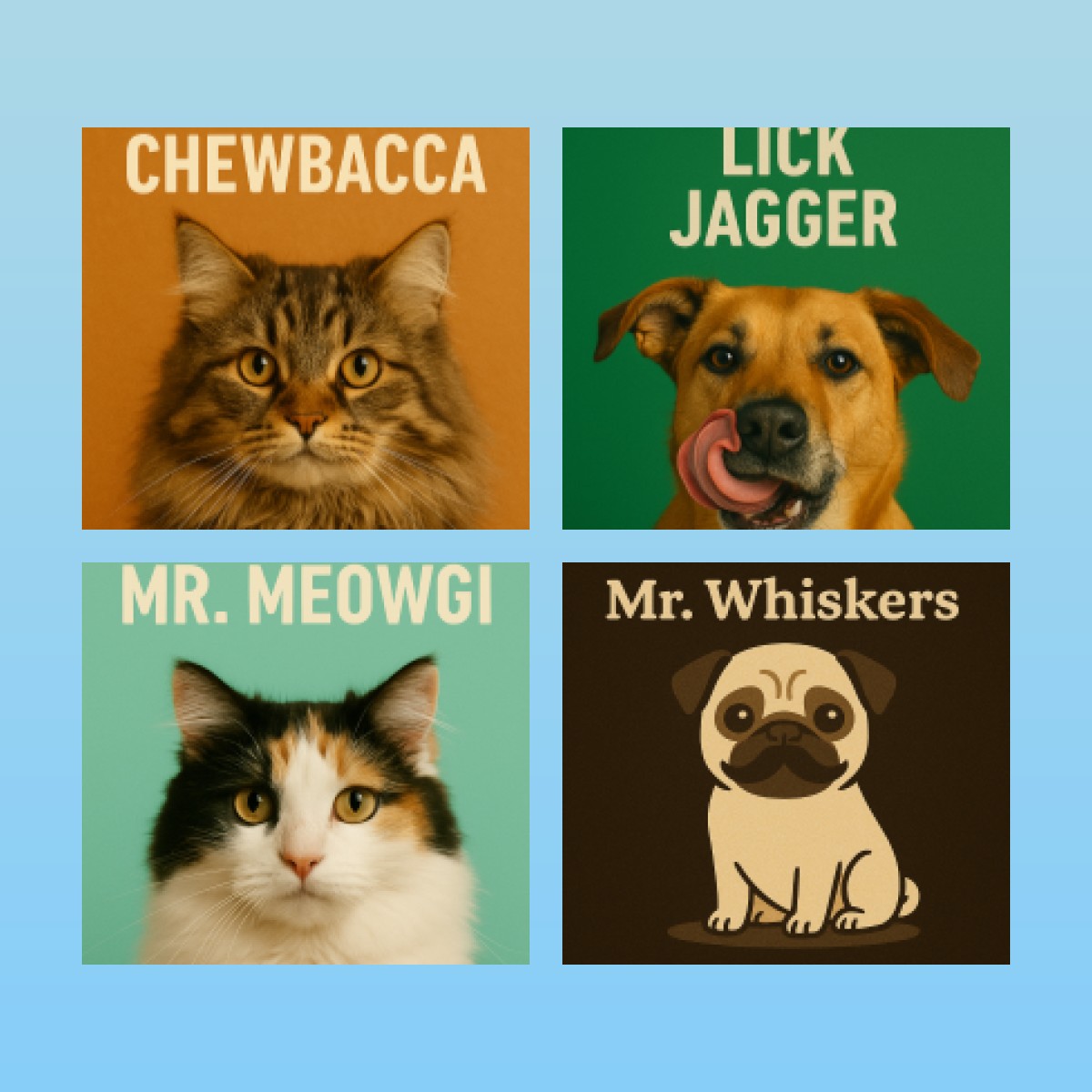 Top 10 Petnames Funny